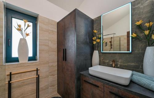 a bathroom with a sink and a mirror at Gorgeous Home In Puscine With Sauna in Varaždin