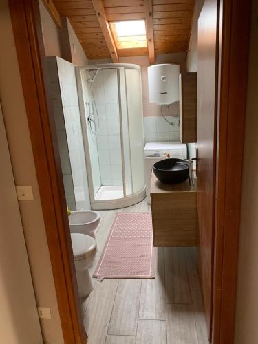 ein Bad mit einer Dusche, einem WC und einem Waschbecken in der Unterkunft Casetta Ai Fiassoni in Parma