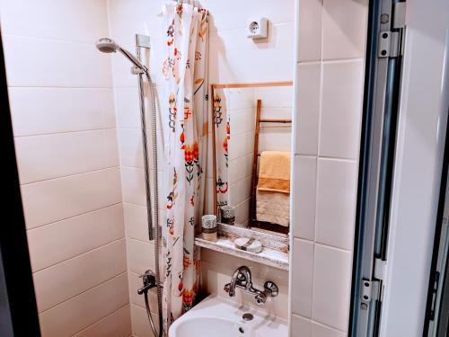 a small bathroom with a shower and a sink at Romantic Bijoux in Central Sofia in Sofia