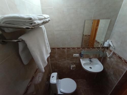 a small bathroom with a toilet and a sink at Girska Tysa Health Resort in Kvasy