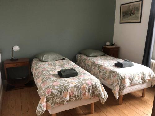 twee bedden naast elkaar in een slaapkamer bij Jolie maison hyper centre de Châteauroux in Châteauroux