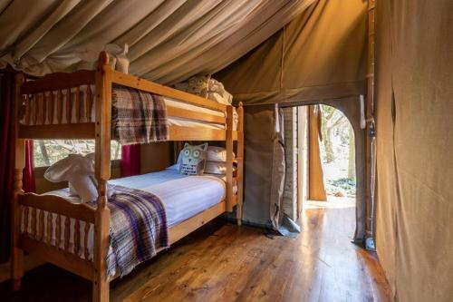 een slaapkamer met 2 stapelbedden in een tent bij Safari Tent 4 At Tapnell Farm in Yarmouth