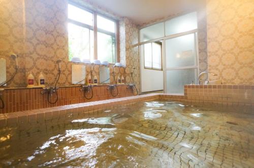 a bathroom with a large pool of water at Hakuba M&auml;rchen House in Hakuba