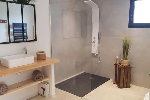 une salle de bain avec une douche avec un lavabo et un miroir dans l'établissement Villa camille piscine chauffée proche pont d'arc, à Saint Alban Auriolles