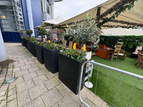 a row of plotted plants in a garden at Rafayel Hotel & Spa in London
