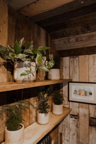a group of potted plants sitting on wooden shelves at The Fitzherbert Farmhouse in Swynnerton