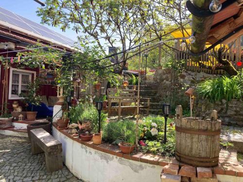 a garden with a lot of plants and trees at Ferienwohnung Schreiner in Wernstein am Inn