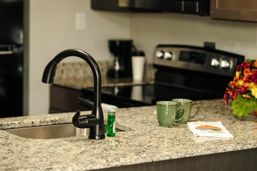 a kitchen counter with a sink and two cups at Lock Haven Grandview Hotel in Mill Hall