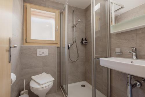 a bathroom with a shower and a toilet and a sink at Charmant studio rénové à Grimentz in Grimentz