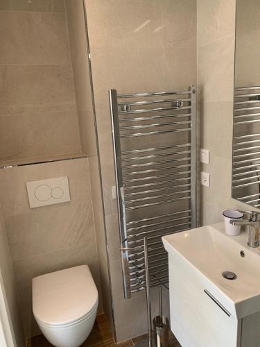 La salle de bains est pourvue de toilettes, d'une douche et d'un lavabo. dans l'établissement Studio Cannes bord de mer, à Cannes