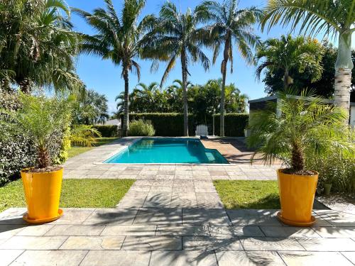 a swimming pool in a yard with palm trees at La Villa des Cannes in Sainte-Marie