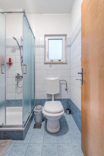 a bathroom with a toilet and a glass shower at Apartment Krilo Jesenice in Krilo