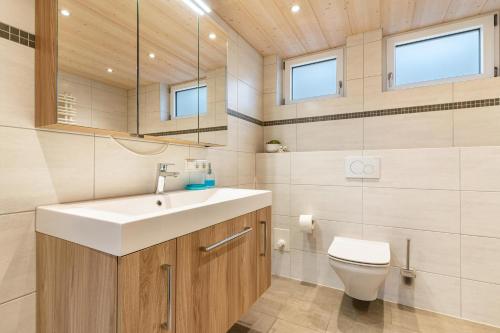 a bathroom with a sink and a toilet at Ferienwohnung Berghansenhof in Wolfach