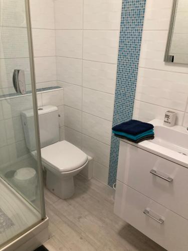 La salle de bains est pourvue de toilettes, d'un lavabo et d'une douche. dans l'établissement Appartement plage sables blancs, à Douarnenez