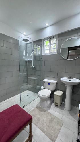 a bathroom with a toilet and a sink and a shower at Artgarden Juan dolio in Juan Pedro