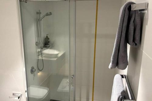 a bathroom with a shower with a toilet and a sink at Walkerville Wonder - free wine in Broadview