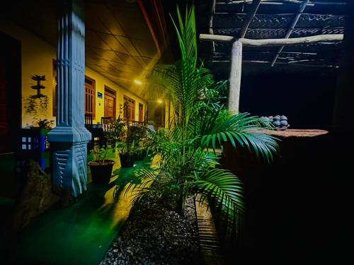 a group of plants in a room with a building at Dambulla Kings Inn in Dambulla