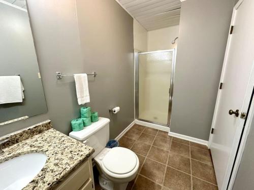 Nancy的住宿－Cottage 4- Lees Ford Marina，浴室配有卫生间、盥洗盆和淋浴。