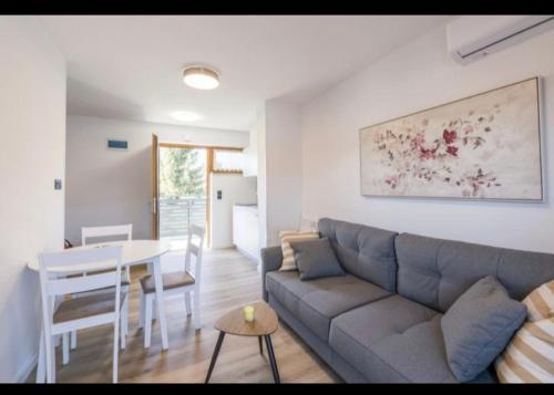 a living room and dining room with a couch and a table at MARTINUS-S SVETI MARTIN in Sveti Martin na Muri