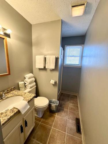 a bathroom with a toilet and a sink at Cottage 16 Lees Ford Marina in Nancy
