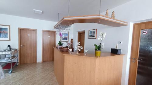a kitchen with a counter in a room at Penzion Duncan in Janske Lazne
