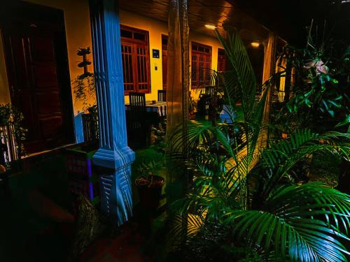 a house with a blue lit room with plants at Dambulla Kings Inn in Dambulla