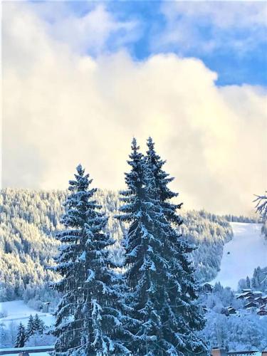un groupe de pins recouvert de neige dans l'établissement Appart à la montagne navette et parking gratuit, à Arâches-la-Frasse