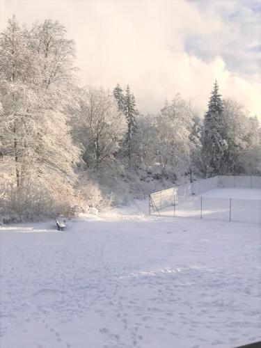 um campo coberto de neve com uma cerca e árvores em Appart à la montagne em Arâches-la-Frasse