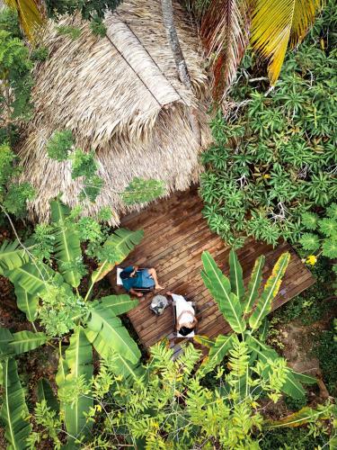 a toy dog laying on a wooden floor in a garden at Agua de Luna in Isla Fuerte