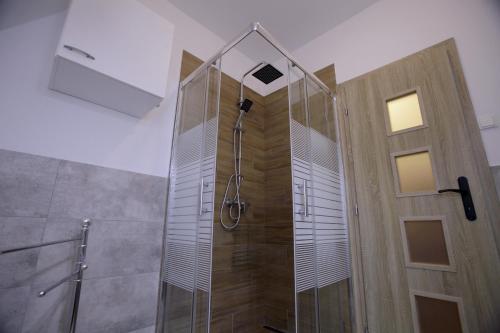 a shower with a glass door in a bathroom at Villa Anita - 100 metrov od pláže Bercsényi in Balatonakarattya