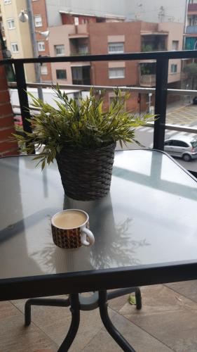 a cup of coffee on a table with a potted plant at Souza Lofts Centro Praça Tiradentes in Teófilo Otoni