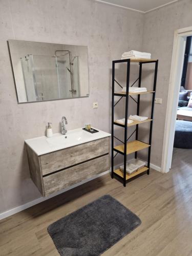 een badkamer met een wastafel, een spiegel en een plank bij Klein duimpje in Echt