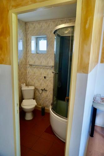 a bathroom with a toilet and a shower and a sink at Cazare Alfredo in Craiova