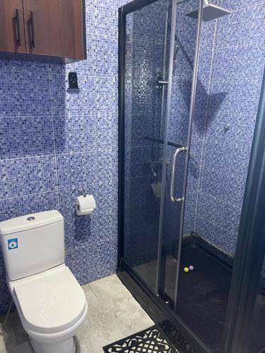 een badkamer met een toilet en een glazen douche bij The Vinesplash in Chantan
