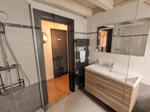 a bathroom with a sink and a shower at Appartement Le Ch'ti Alsacien in Eguisheim