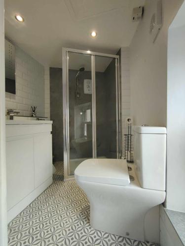 a white bathroom with a toilet and a shower at Queen's Apartment in Cardigan, Cardigan Bay in Cardigan