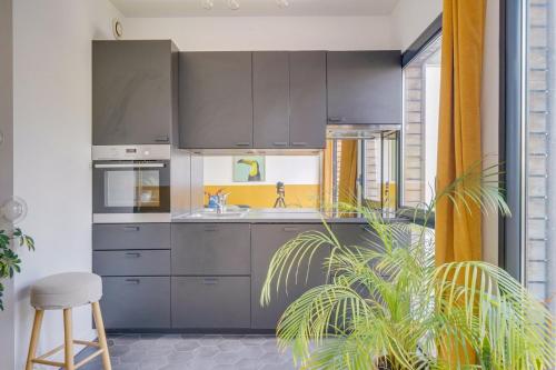 une cuisine avec des armoires grises et une plante dans l'établissement Très bel appartement avec Terrasse et Jardin, à Bordeaux