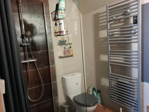 une salle de bain avec toilettes et douche dans l'établissement L'AUBRIETE, à Recoules-dʼAubrac