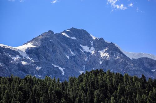 a mountain with trees in front of it at Alpinchalet Ortler in Solda