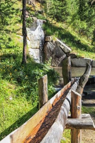 a wooden fence in a field with trees and grass at Alpinchalet Ortler in Solda