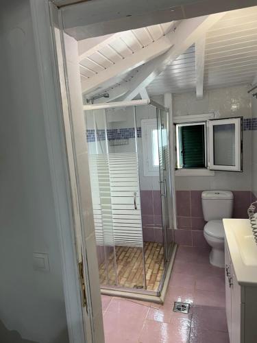 a bathroom with a shower and a toilet in it at Hamre Apartments (Nicholas) in Agios Georgios Pagon