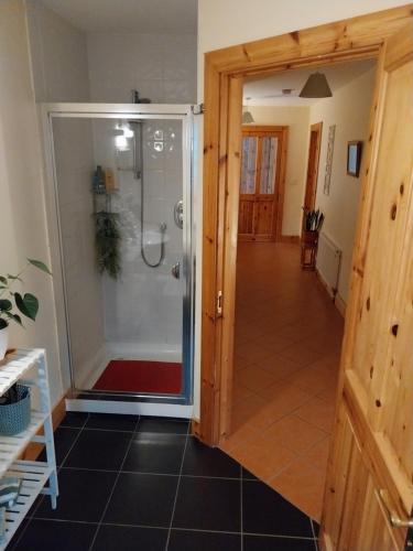 a shower with a glass door in a room at Felicity Cottage in Kiltegan