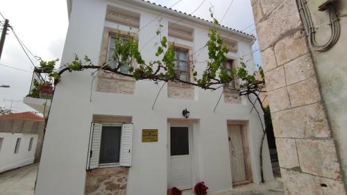 uma casa branca com uma árvore em frente em Xenonas "Alexandra's Coffee House" em Volímai