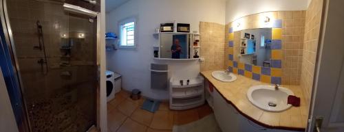 ein Bad mit einem Waschbecken, einem WC und einer Dusche in der Unterkunft CHAMBRE ALOEVERA in Saint-Christol