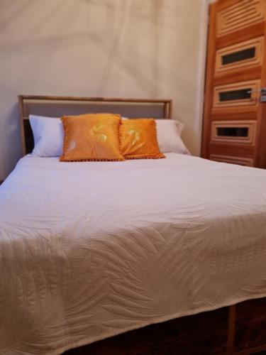 ein Bett mit zwei orangenen Kissen darüber in der Unterkunft SERENITY in Bromley