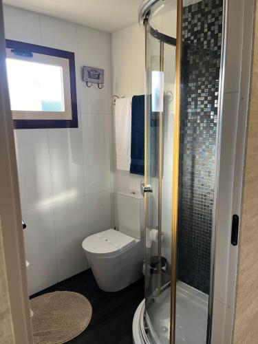 a bathroom with a toilet and a glass shower at Casas do Picoutinho in Ponte de Lima