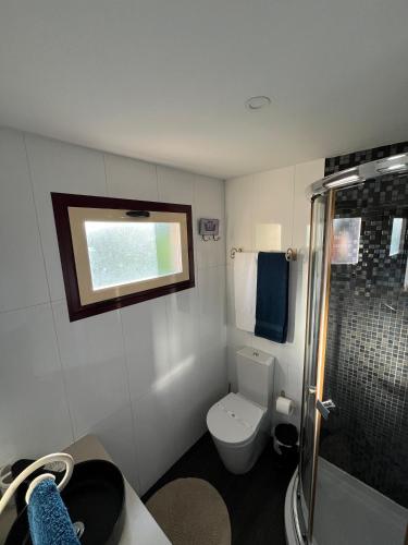 a bathroom with a toilet and a shower and a window at Casas do Picoutinho in Ponte de Lima