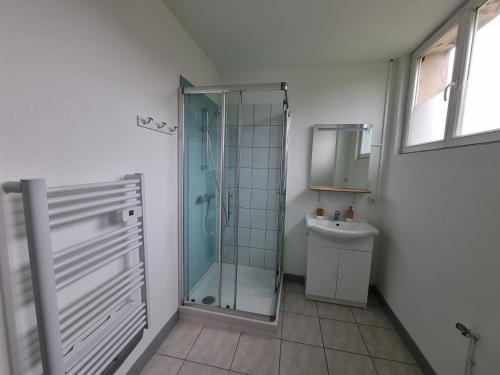 een badkamer met een douche en een wastafel bij Le Tournesol, Appartement T1 bis in Héricourt