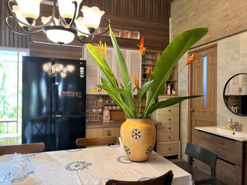 a vase with a plant on a table in a kitchen at LỌ LEM CINDERELLA HOMESTAY in Vĩnh Long