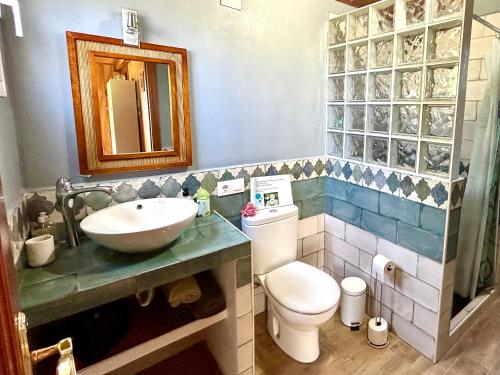 a bathroom with a sink and a toilet and a mirror at Preciosa Casa de Madera, Andalucía in Prado del Rey
